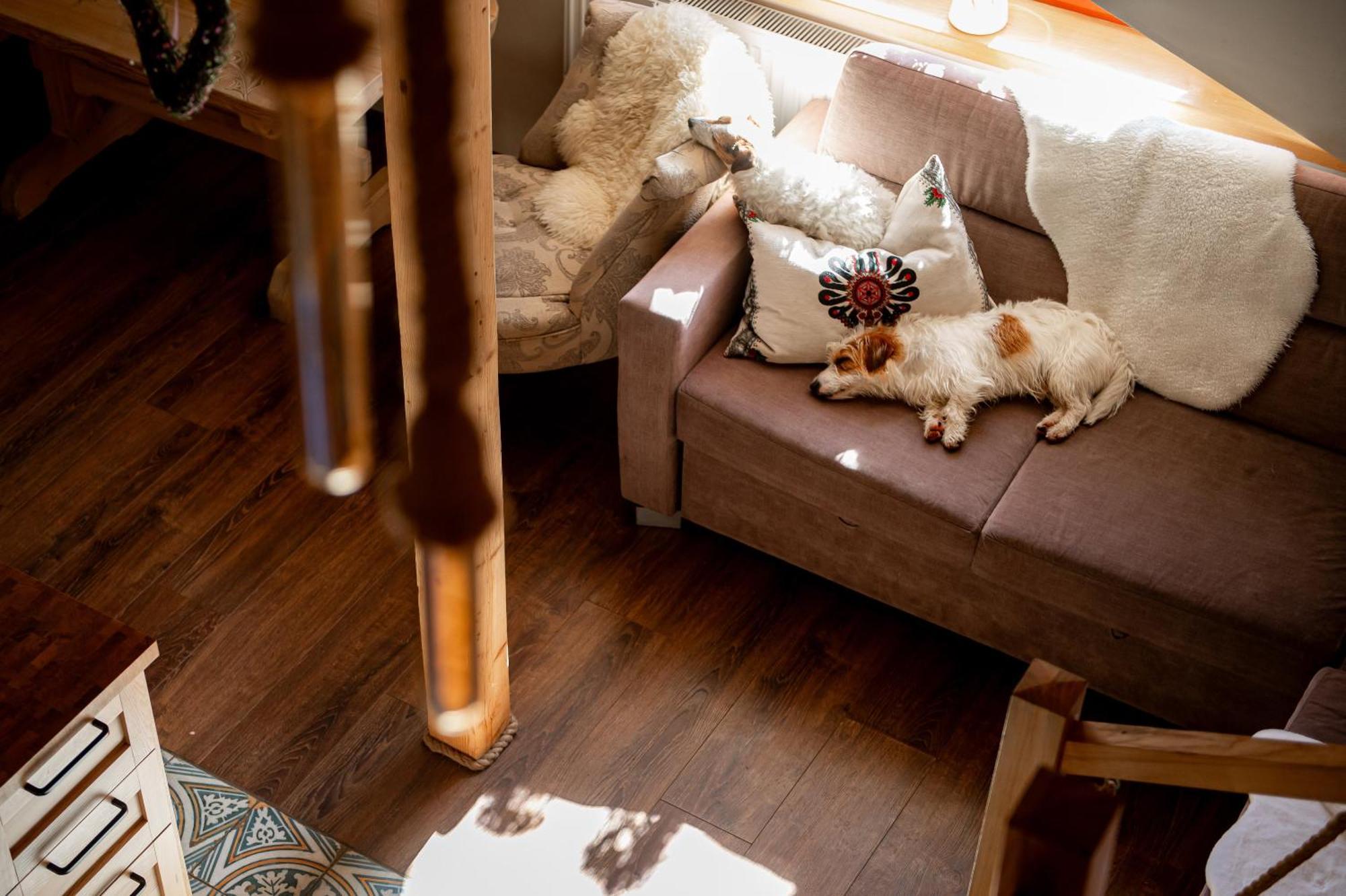 Apartament Gorski U Papierzy Sauna, Jacuzzi, Spa วีตุฟ ภายนอก รูปภาพ
